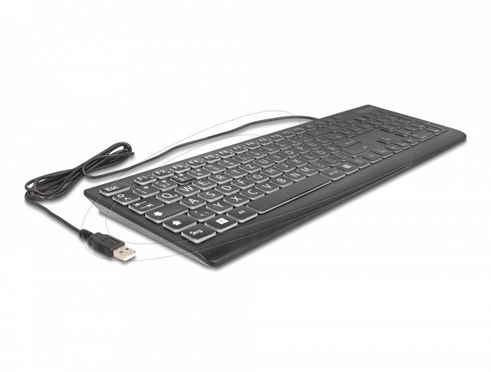 DeLock USB Keyboard wired 1.5m with XXL Letters and Illumination Black DE
