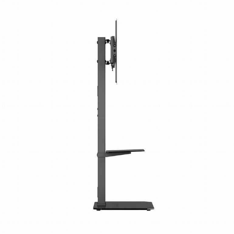 Gembird TVS-86ST-01 TV floor stand 43
