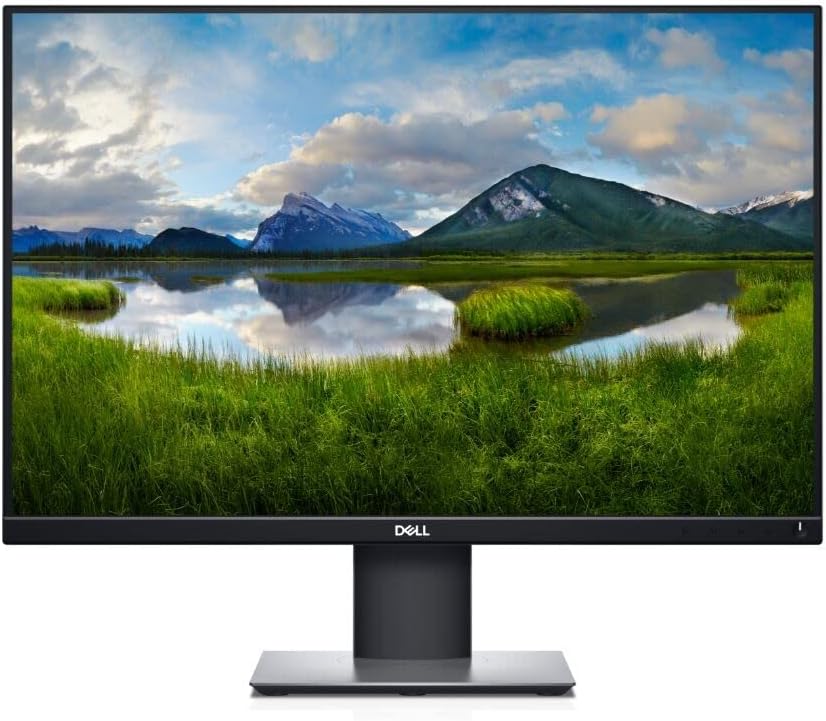 24'' Dell P2421