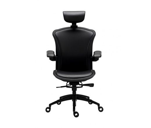 Tesoro Alphaeon E5 Hybrid Gaming Chair Black