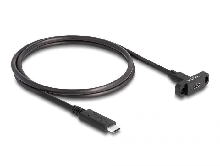 DeLock SuperSpeed USB 10 Gbps (USB 3.2 Gen 2) Cable USB Type-C male to female 1m panel-mount Black