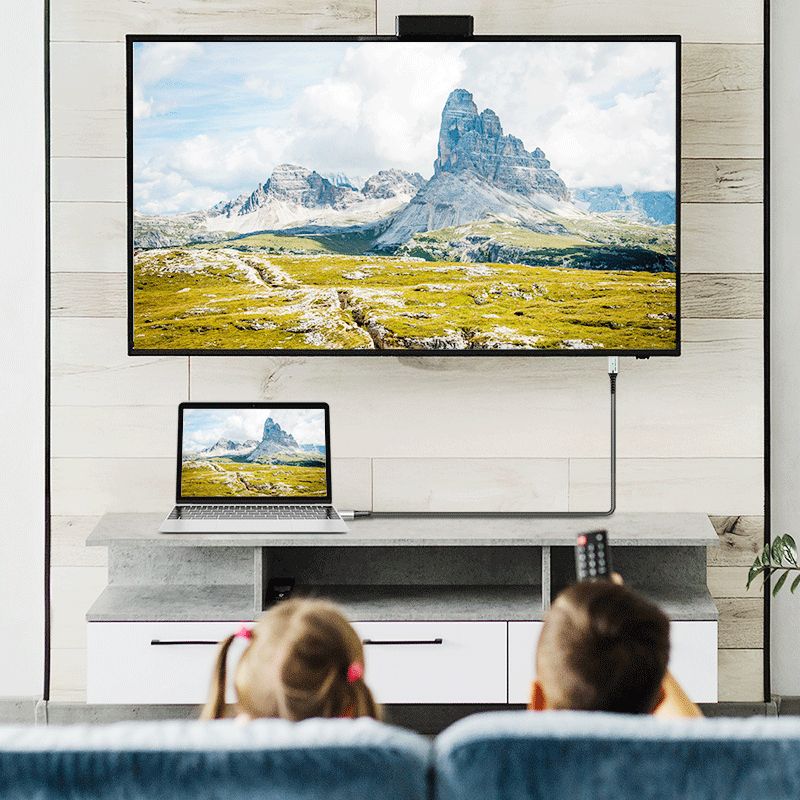 Logilink USB 2.0 Type-C male to male cable 1m White