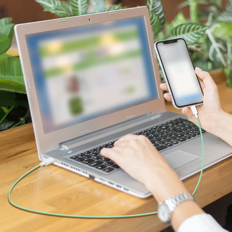 Logilink USB 2.0 Type-C A/M to C/M cable 1m Green