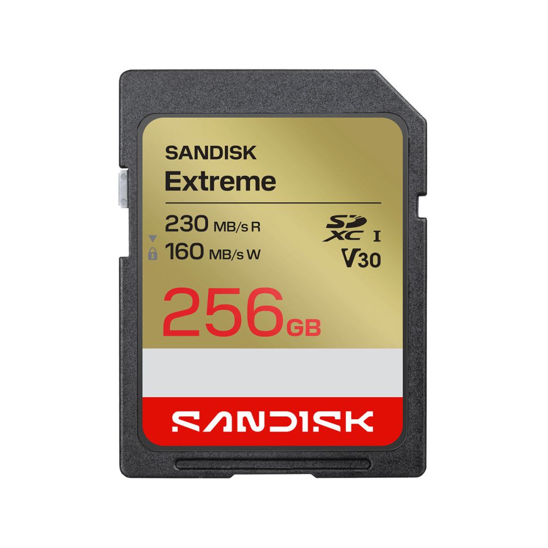 Sandisk 256GB SDXC Extreme GO UHS-I U3 V30