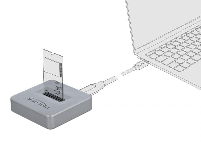 DeLock M.2 Docking Station for M.2 NVMe PCIe SSD with USB Type-C female