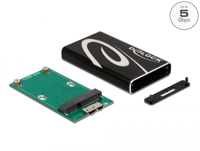 DeLock External Enclosure SuperSpeed USB for mSATA SSD