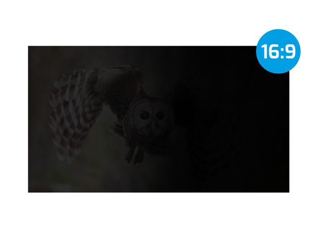 natec Owl Frameless Display Privacy Filter 14